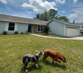 Pet friendly in Orange Park Master bedroom King A
